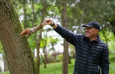 Турчин секојдневно храни верверички во истанбулскиот парк Емирган