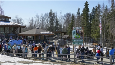 Alaska Hayvanat Bahçesi vahşi hayvanlara rehabilitasyon hizmeti veriyor