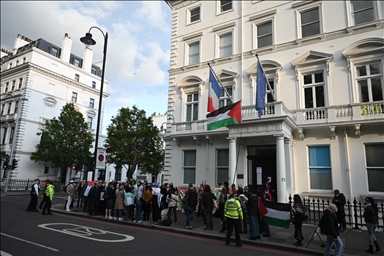 Депортация из Франции британского хирурга палестинского происхождения вызвал протесты в Лондоне