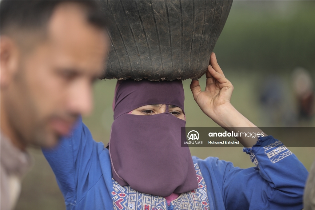 Mısır'da patates hasadı