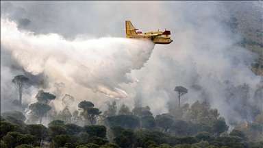İtalya'nın Sicilya Adası’nda orman yangını
