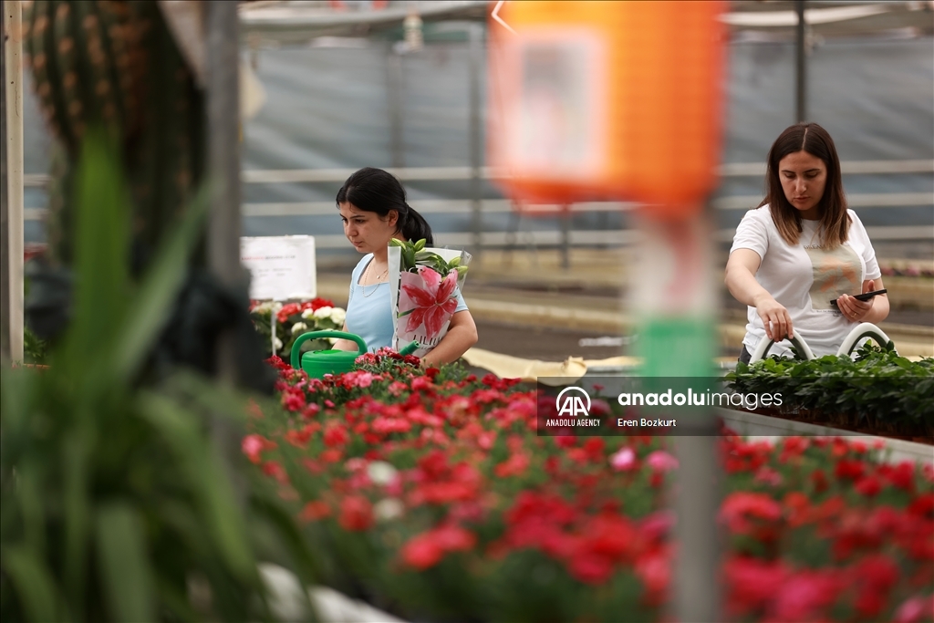 Flowers prepared for upcoming Mother's Day in Turkiye's Adana