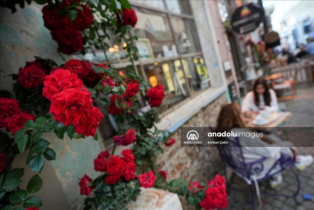 Urla Yarımadası’ndaki “Sanat Sokağı”