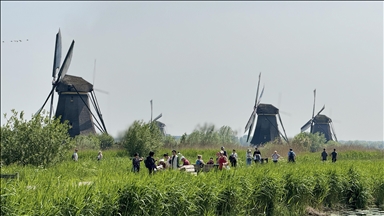 Hollanda'da "Ulusal Değirmen Günü"nde 700 değirmenin kapıları ziyaretçilere açıldı