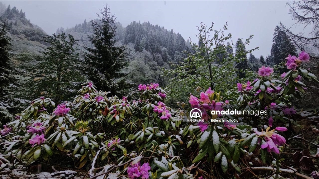 Rize'nin yüksek kesimleri karla kaplandı