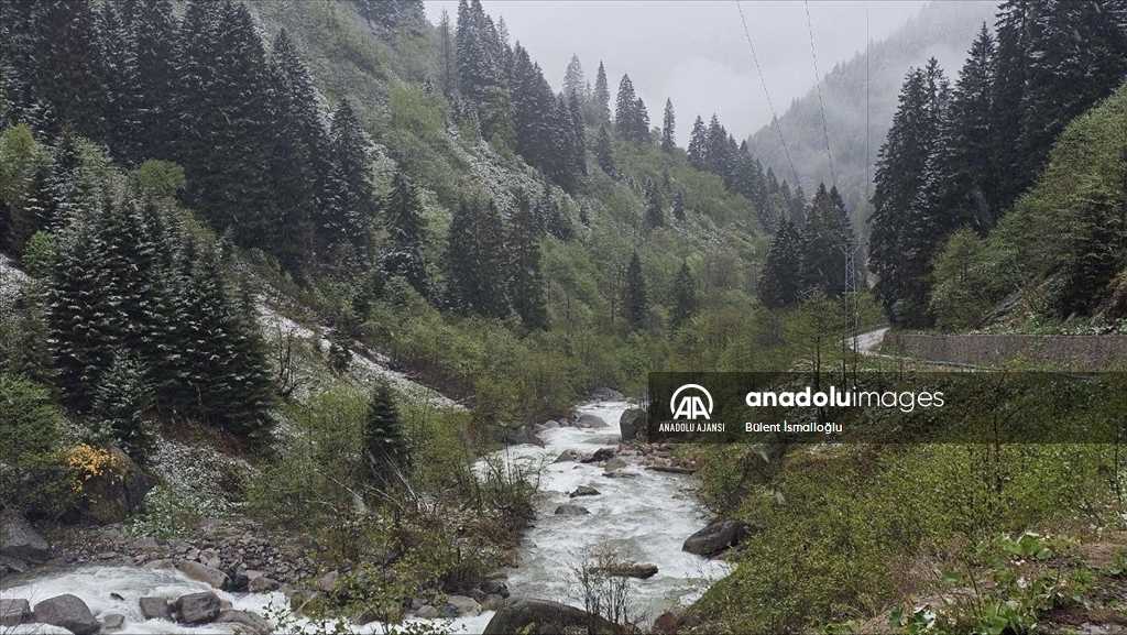 Rize'nin yüksek kesimleri karla kaplandı
