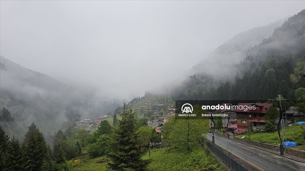 Rize'nin yüksek kesimleri karla kaplandı