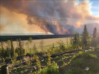 Лесные пожары в Западной Канаде: эвакуация и масштаб разрушений