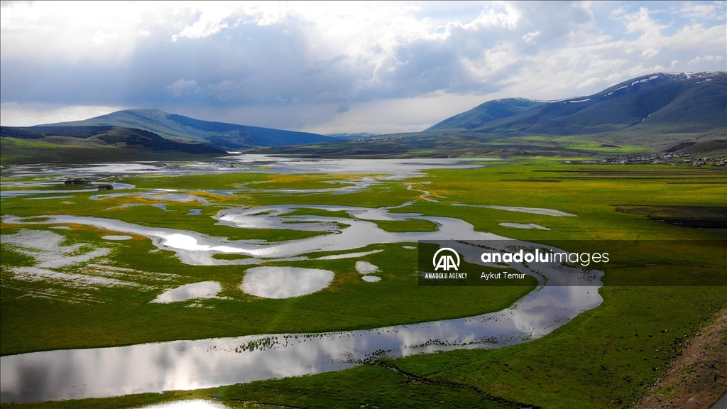 Spring season in Turkiye's Ardahan