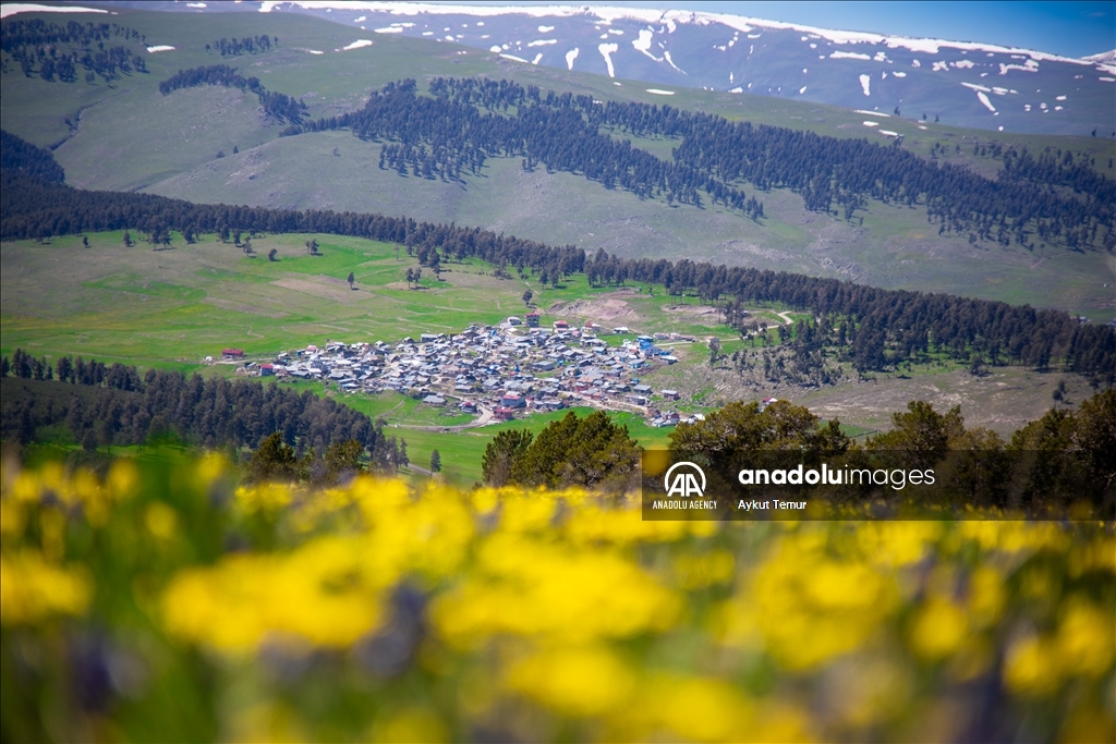 Природные красоты турецкой провинции Ардахан ожили с приходом весны