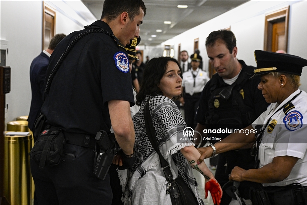 Cторонники Палестины выразили протест госсекретарю США Блинкену в Сенате