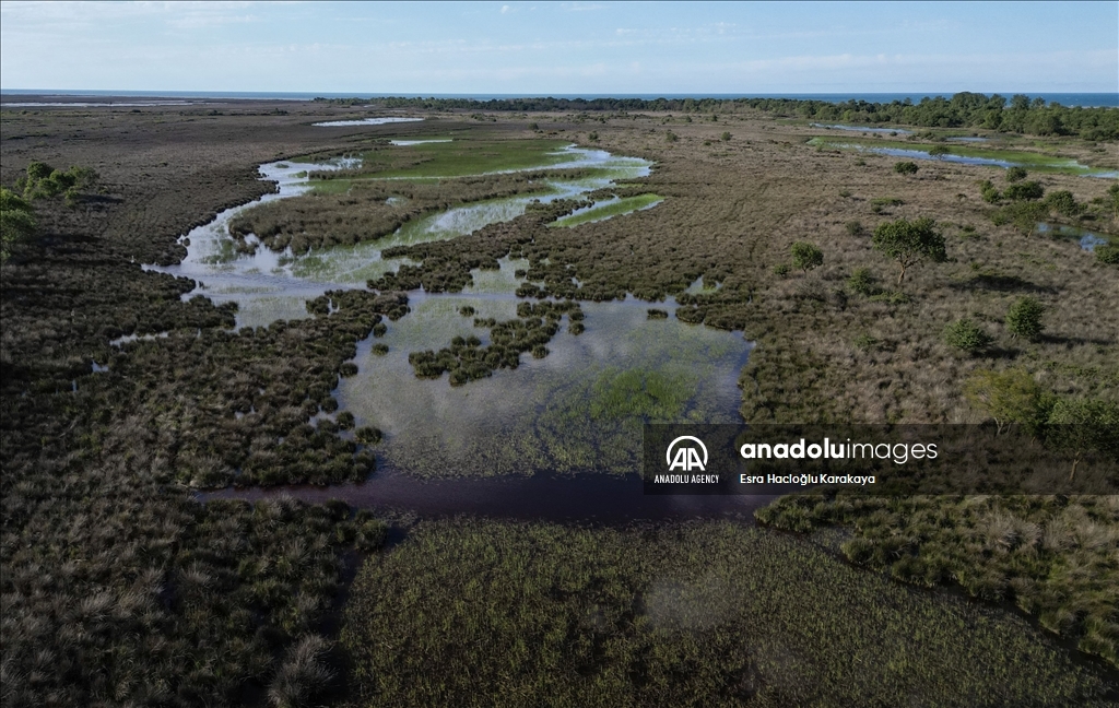 Kizilirmak Delta hosts many species in Turkiye's Samsun