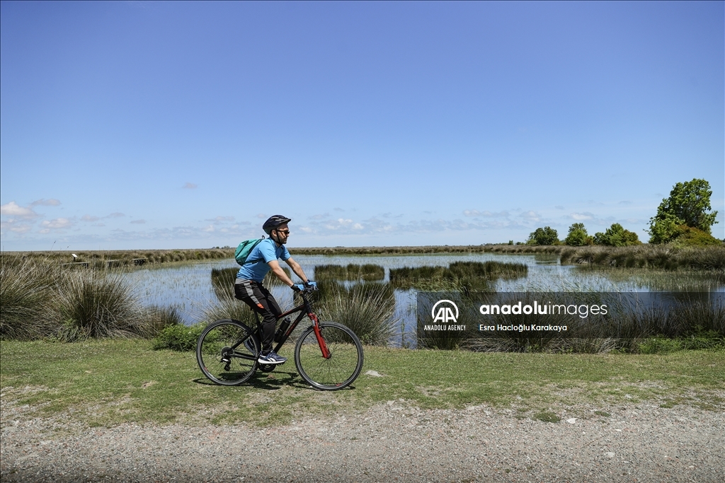 Kizilirmak Delta hosts many species in Turkiye's Samsun