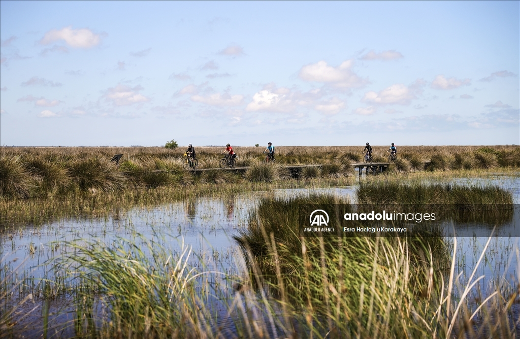 Kizilirmak Delta hosts many species in Turkiye's Samsun