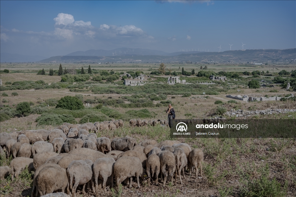 Fotoğraf ve tarihseverlerin yeni gözde rotası, Didim