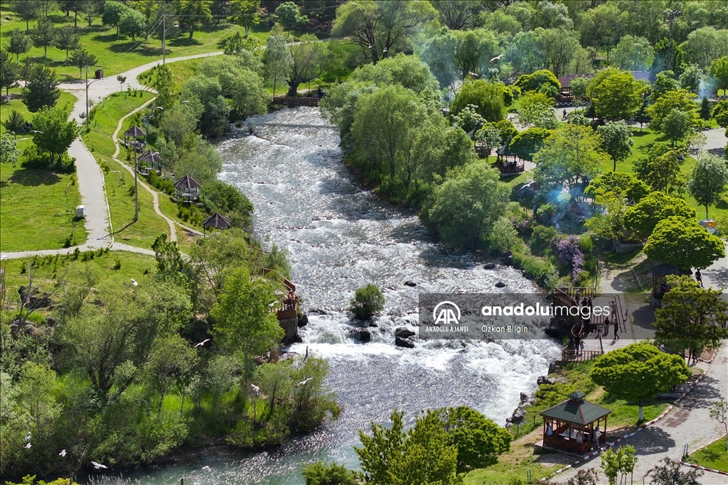 Van Gölü'ndeki İnci kefallerinin göç yolculuğu