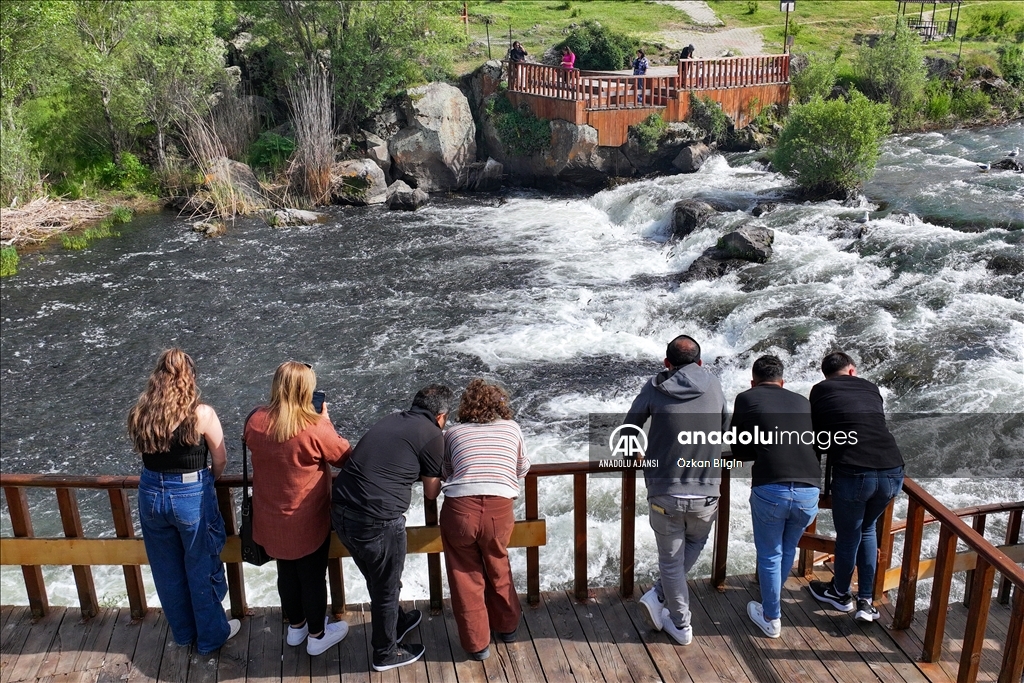 Van Gölü'ndeki İnci kefallerinin göç yolculuğu