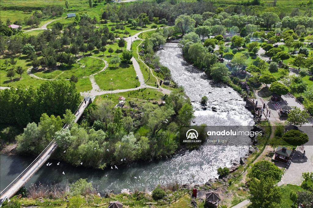 Van Gölü'ndeki İnci kefallerinin göç yolculuğu