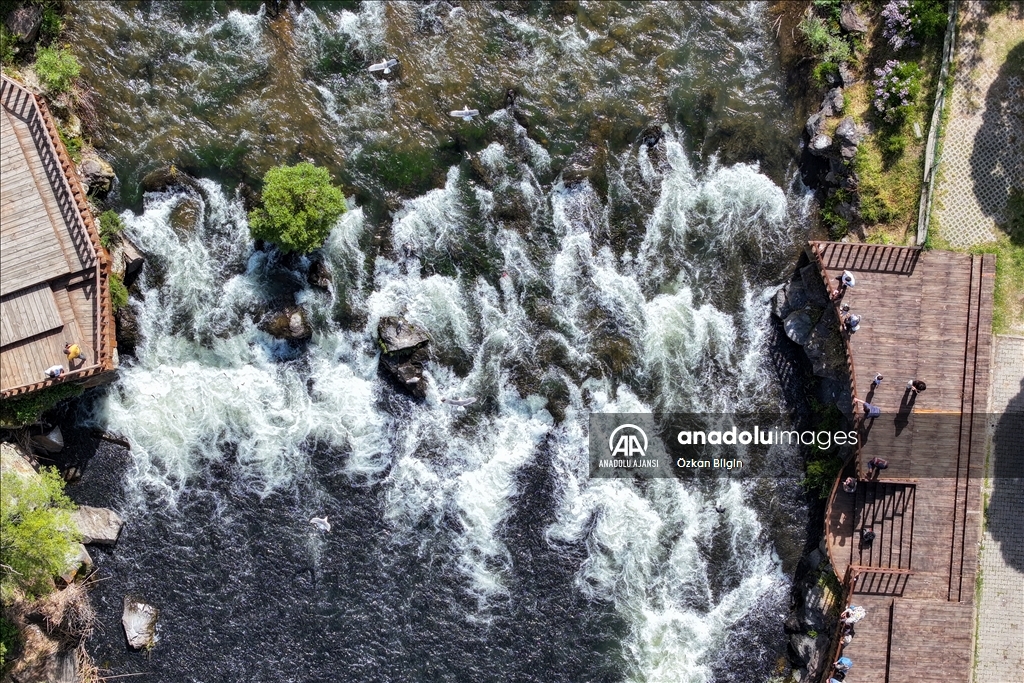 Van Gölü'ndeki İnci kefallerinin göç yolculuğu