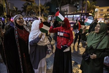 В Перу прошла акция солидарности с Палестиной