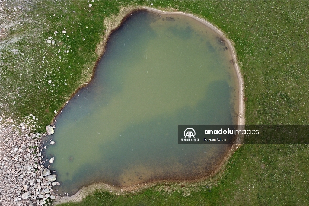 Yama Dağı Yaylası