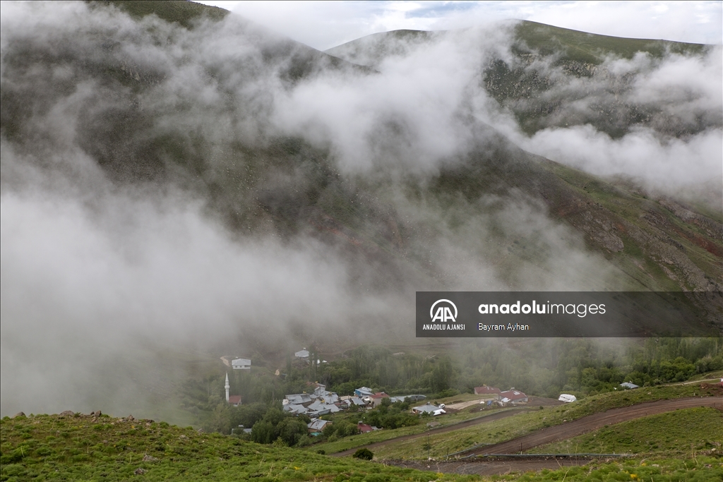Yama Dağı Yaylası
