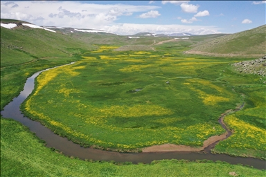 Meanders in Turkiye's Agri are covered with spring flowers