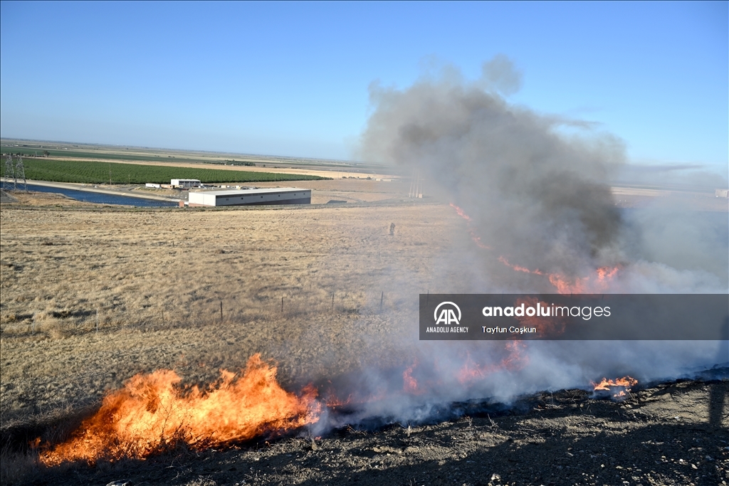 Poleline fire in Merced County of California