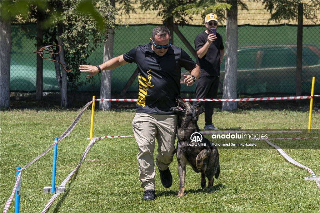 Eğitimlerini başarıyla tamamlayan "Alman çoban köpekleri" için yarışma düzenlendi