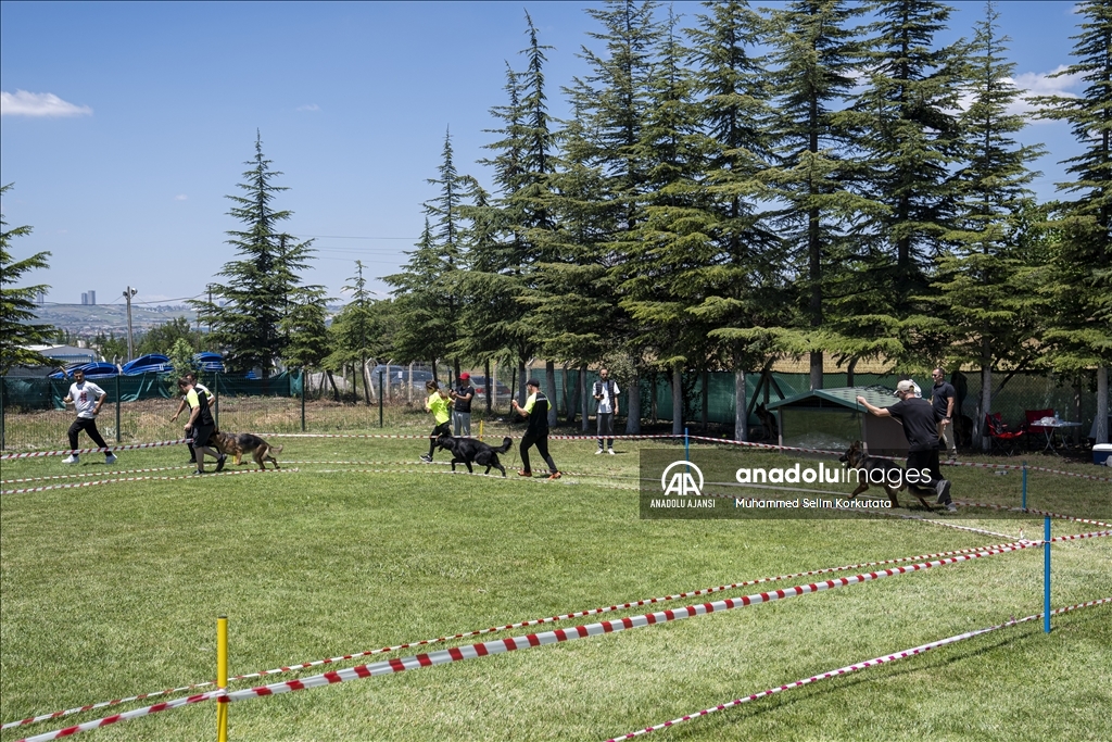 Eğitimlerini başarıyla tamamlayan "Alman çoban köpekleri" için yarışma düzenlendi