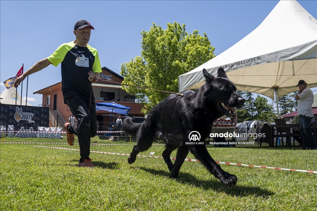 Eğitimlerini başarıyla tamamlayan "Alman çoban köpekleri" için yarışma düzenlendi