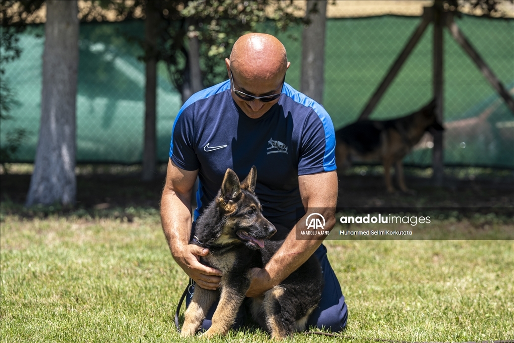 Eğitimlerini başarıyla tamamlayan "Alman çoban köpekleri" için yarışma düzenlendi