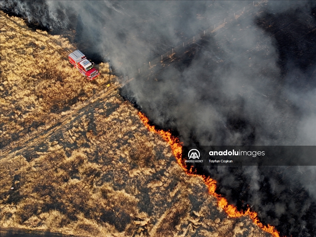 Poleline fire in Merced County of California