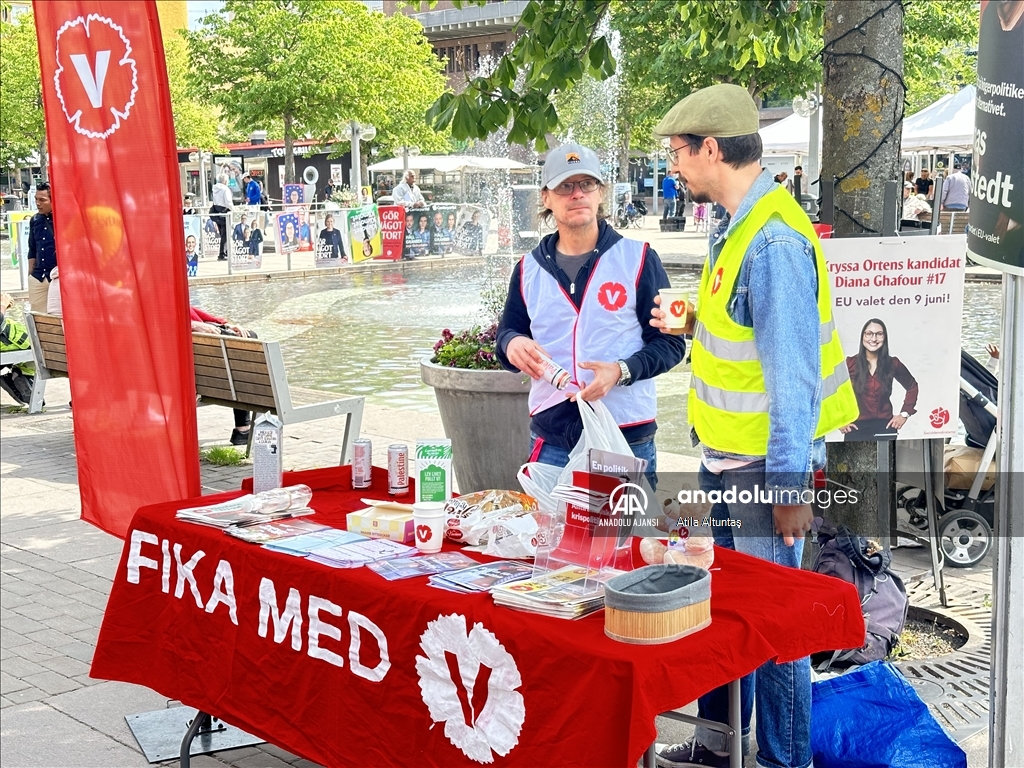 Avrupa Birliği'nde seçim maratonunun sonuna gelindi
