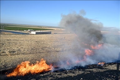 Poleline fire in Merced County of California