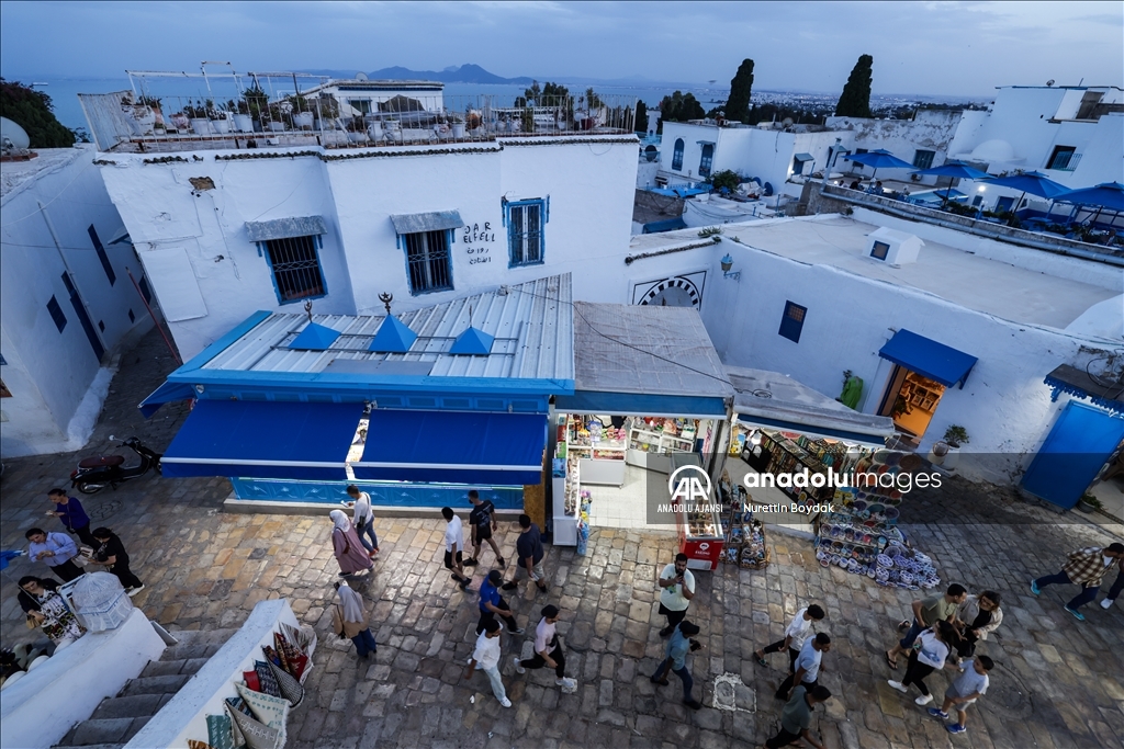 Denizin evlere rengini verdiği kasaba: Sidi Bou Said