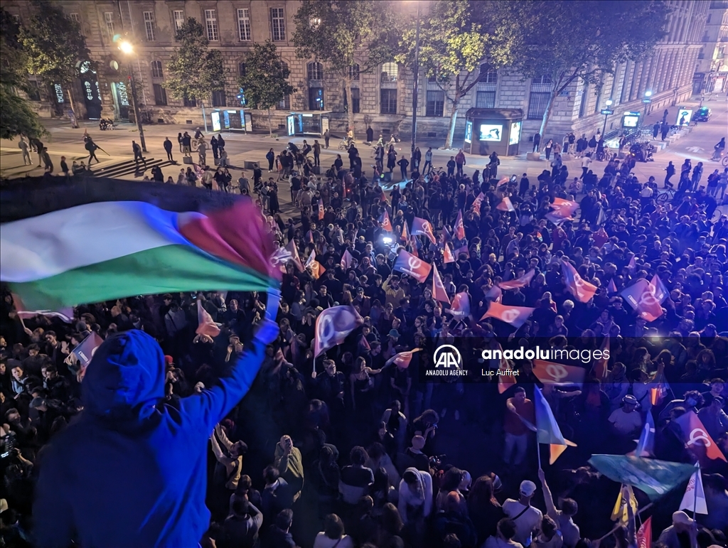 Крайне правые партии, победившие на выборах в Европарламент во Франции, подверглись протестам