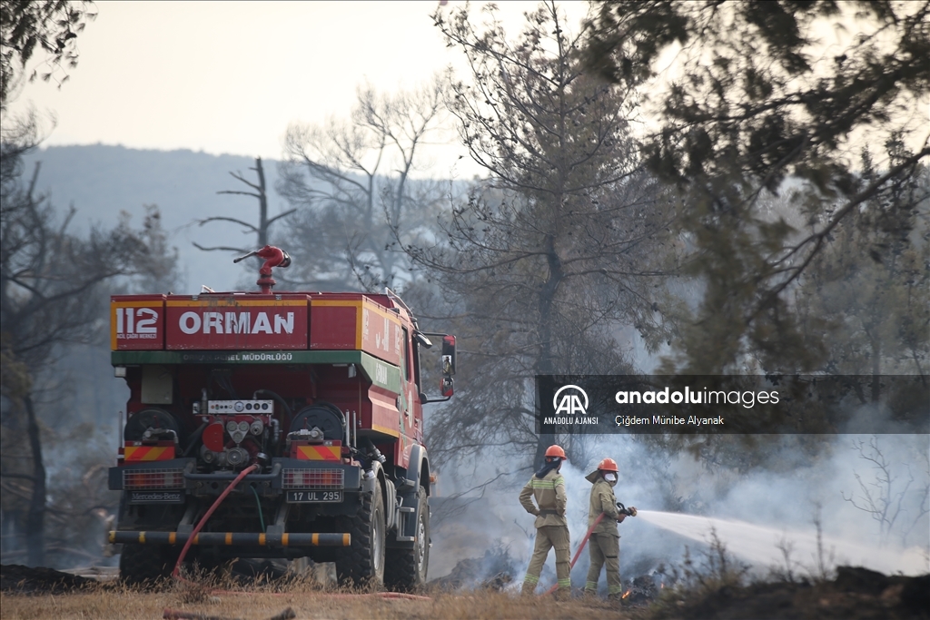 Çanakkale'de orman yangınına müdahale sürdü