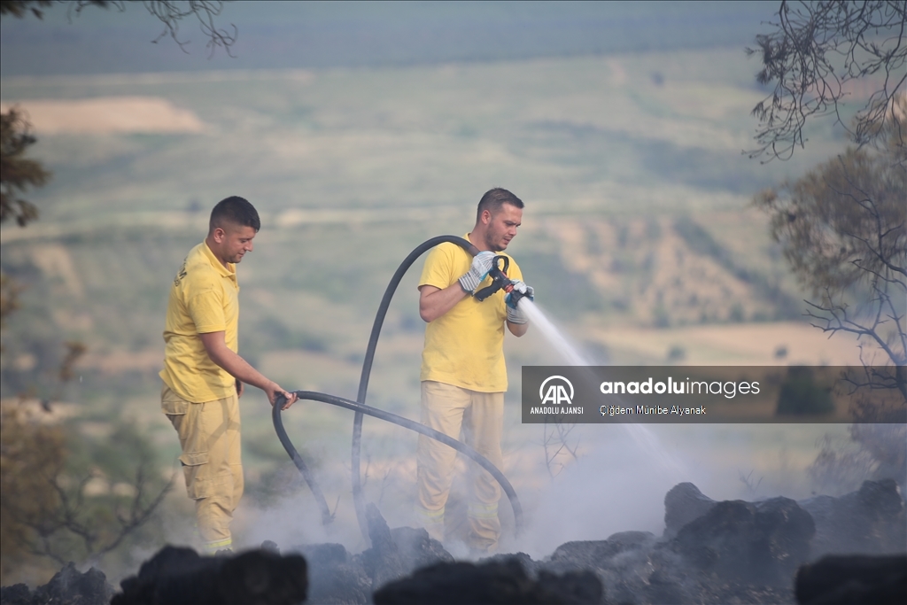 Çanakkale'de orman yangınına müdahale sürdü