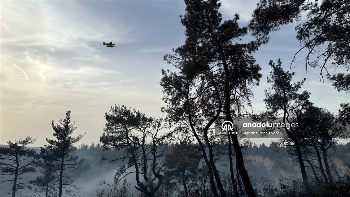 Çanakkale'de orman yangınına müdahale sürdü