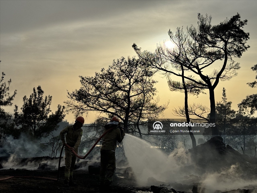 Çanakkale'de orman yangınına müdahale sürdü