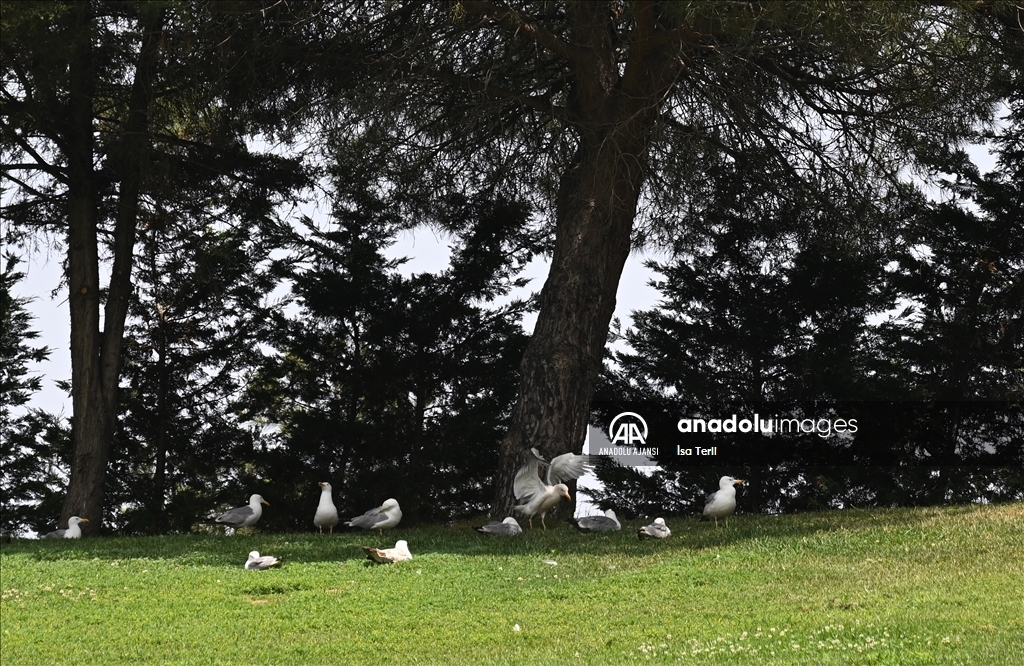 İstanbul'da sıcak hava