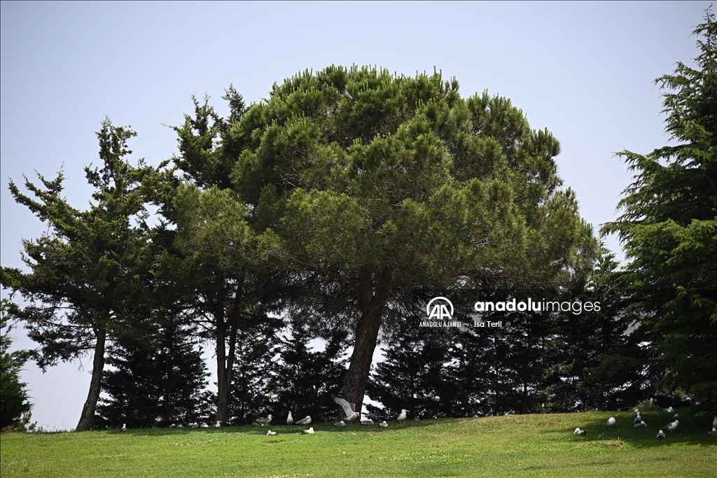 İstanbul'da sıcak hava