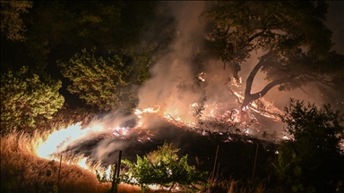 ABD'nin Kaliforniya eyaletinin kuzeyindeki Sonoma bölgesinde çıkan orman yangınına müdahale sürüyor