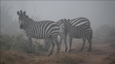 Wildlife parks of Uganda