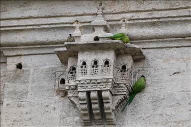  کاخ‌های پرندگان؛ نماد شفقت نسبت به موجودات زنده در تمدن عثمانی