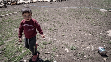 Erzurum yaylaları 500'ün üzerinde göçer aile ile 70 bin küçükbaşı ağırlıyor
