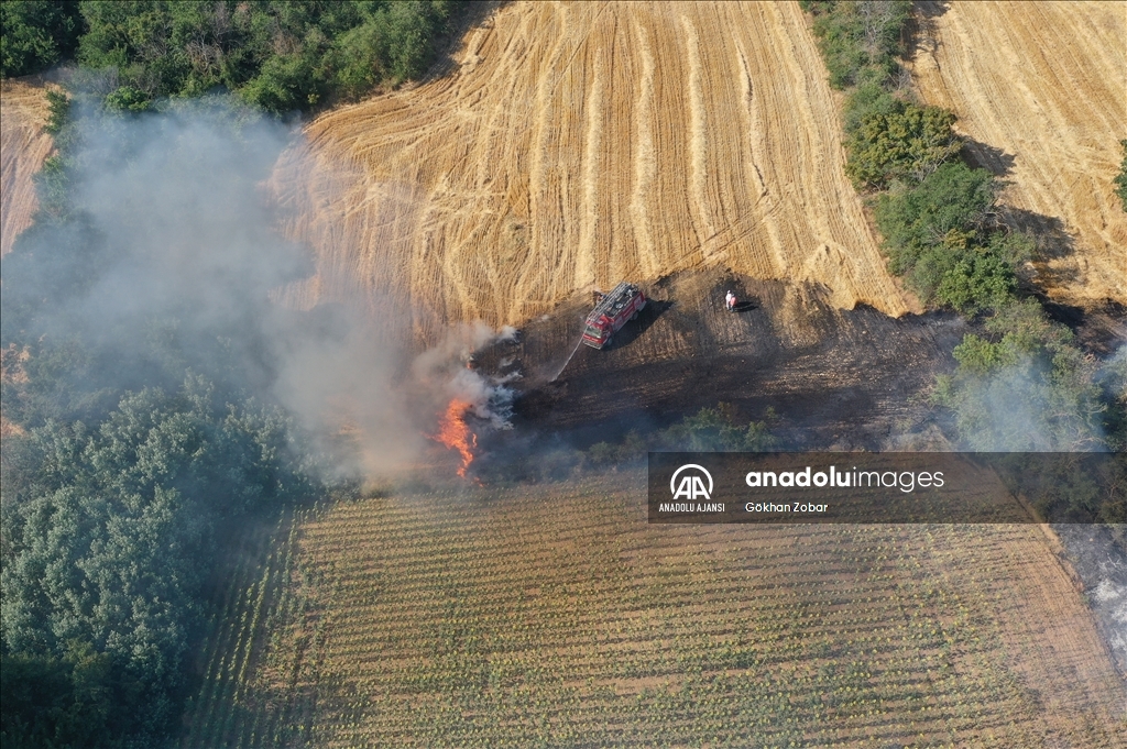 Edirne'de çıkan orman yangını kontrol altına alındı