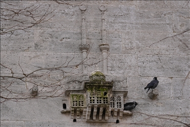 قصور الطيور.. لوحات فنية عثمانية تُغرد بالرحمة على مر العصور