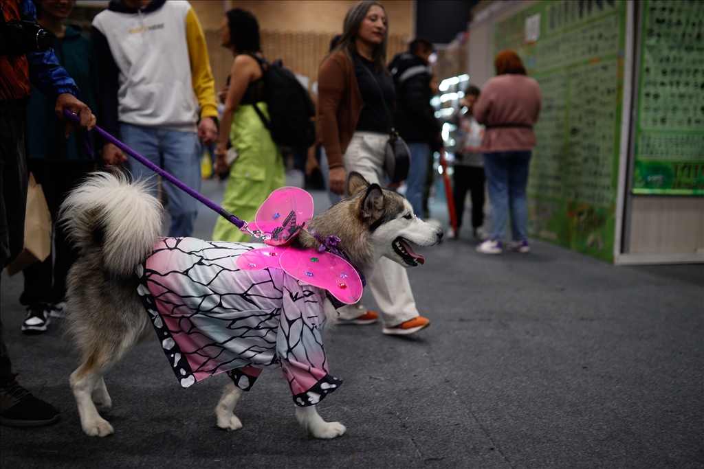 Kolombiya'da Comic Con fuarı